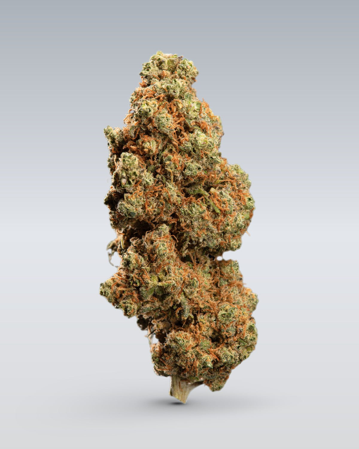 CBD Blüten Probierset | 3 Custom Bags
