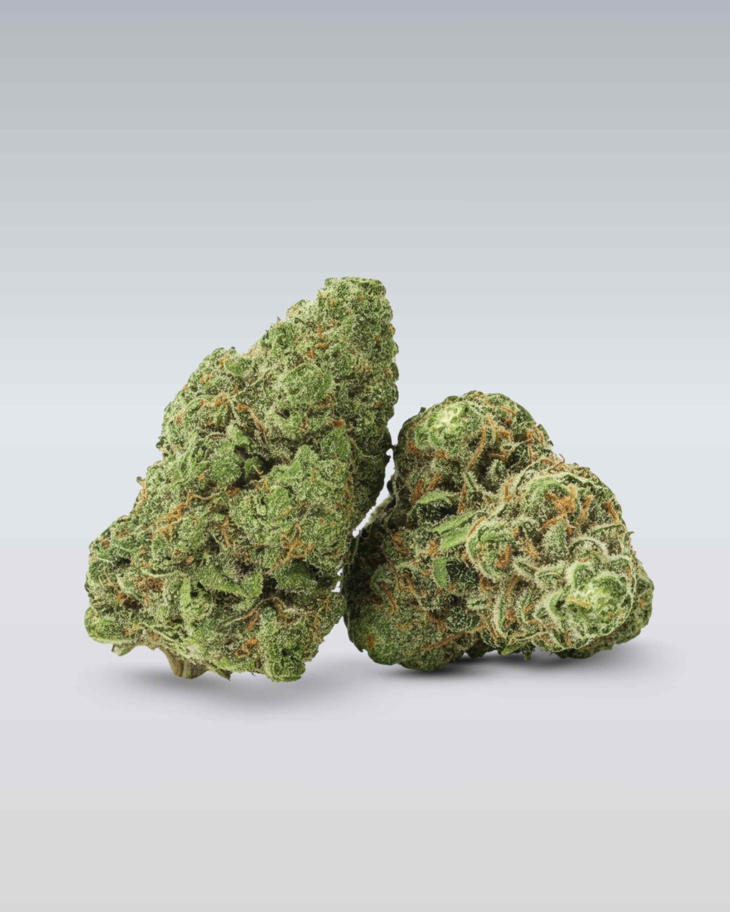 Frozen Black Cherry - Superior Blüte 50% - OnlyGrams
