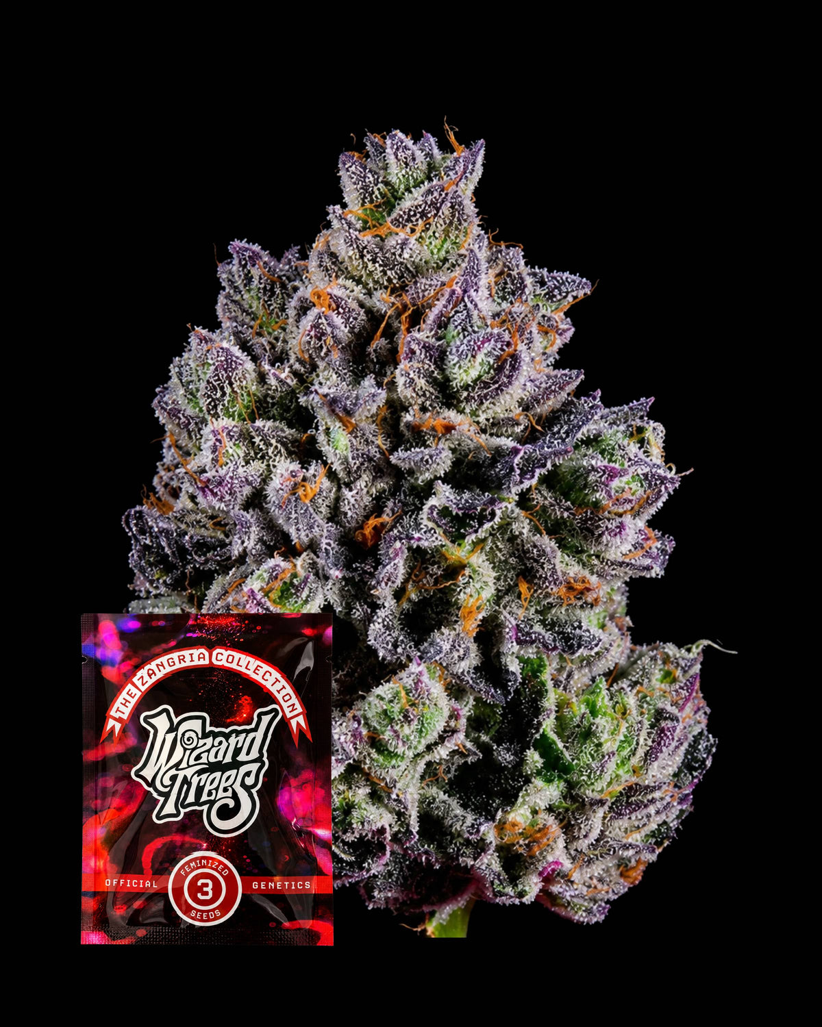 Big Z – THC-Seeds | Wizard Trees