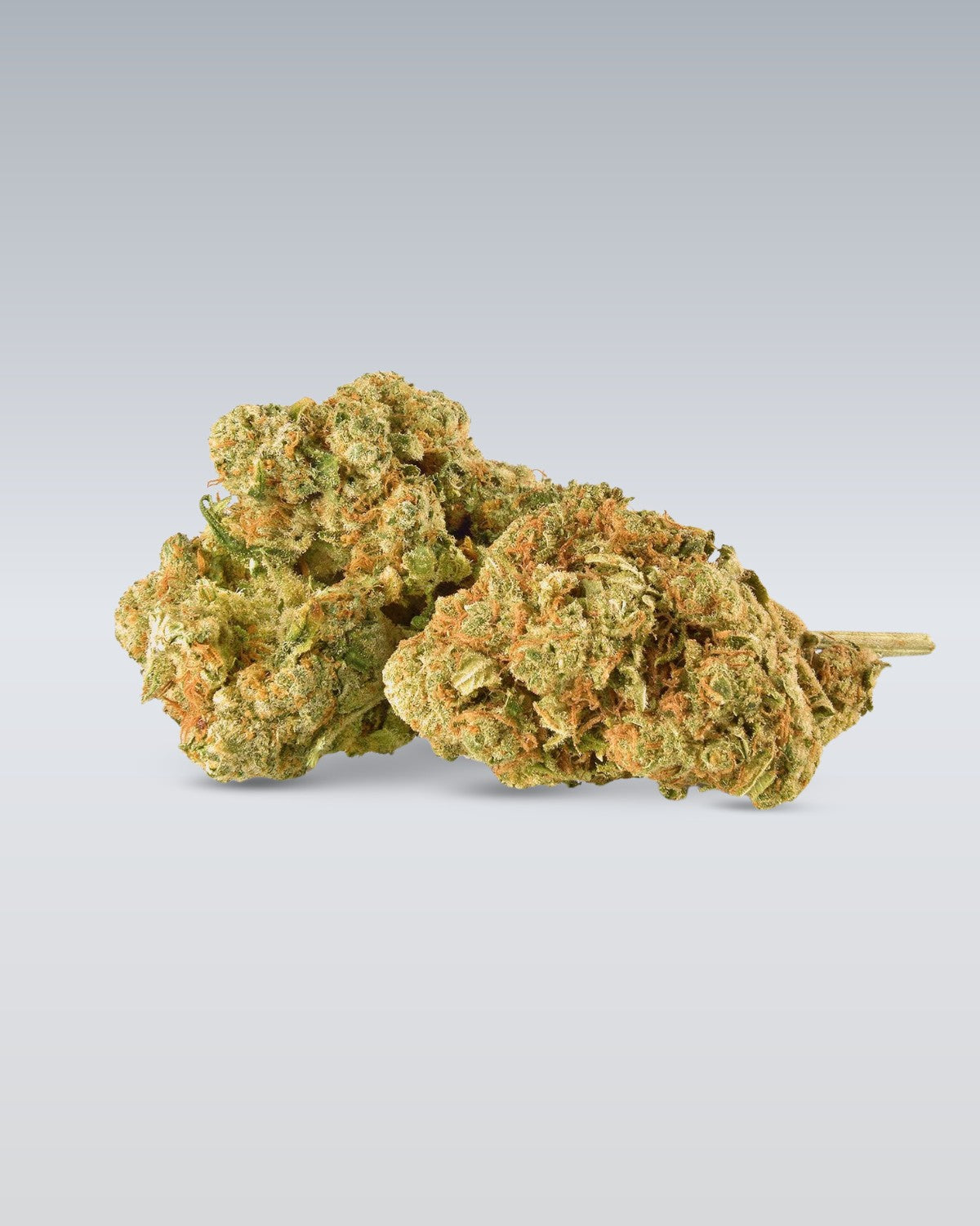 Amnesia - Superior Blüte 40%