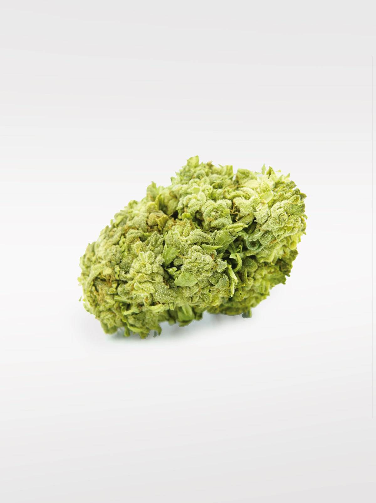 Frosted Cookies - Superior Blüte 55% - OnlyGrams