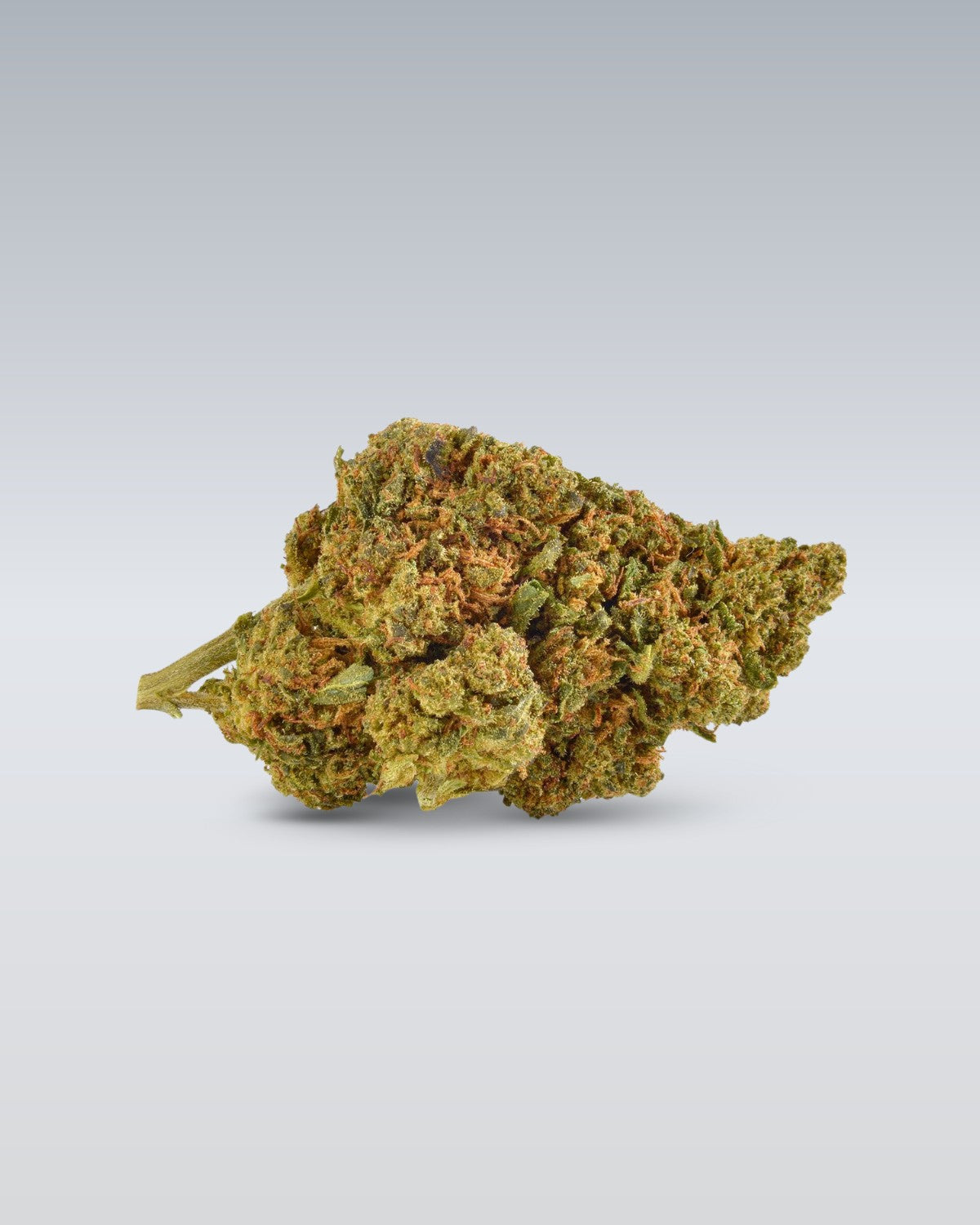 Strawberry Haze - Superior Blüte 55%