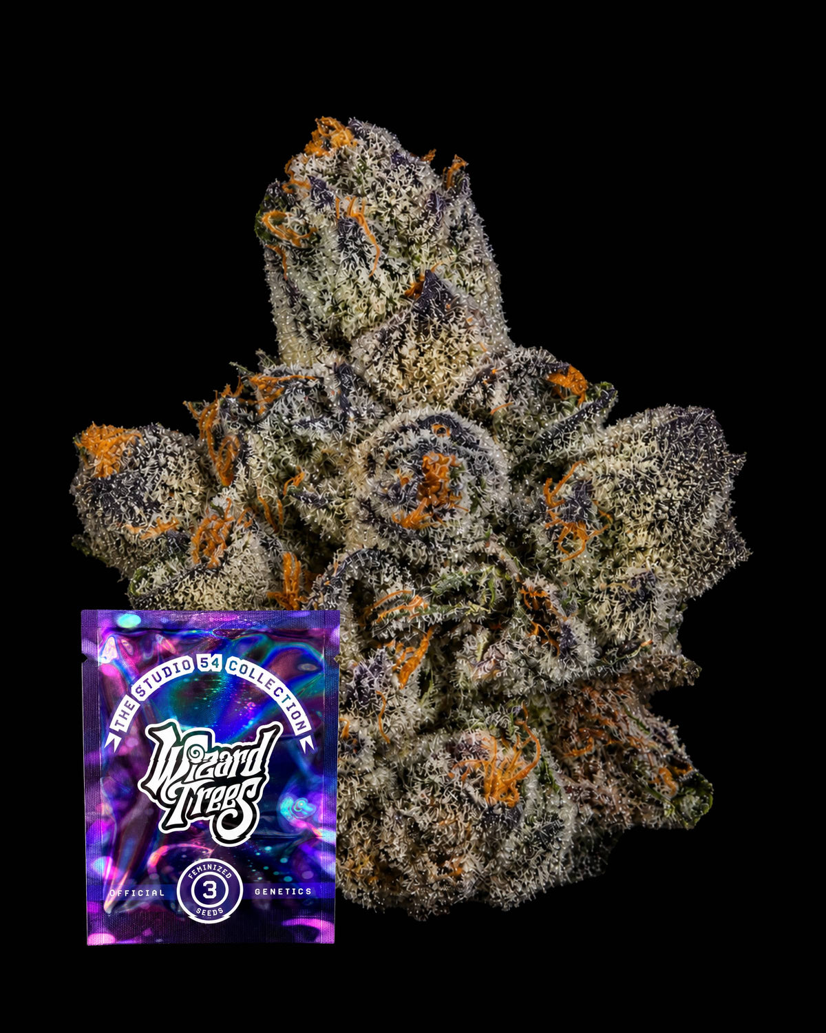 UVAZ – THC-Seeds | Wizard Trees
